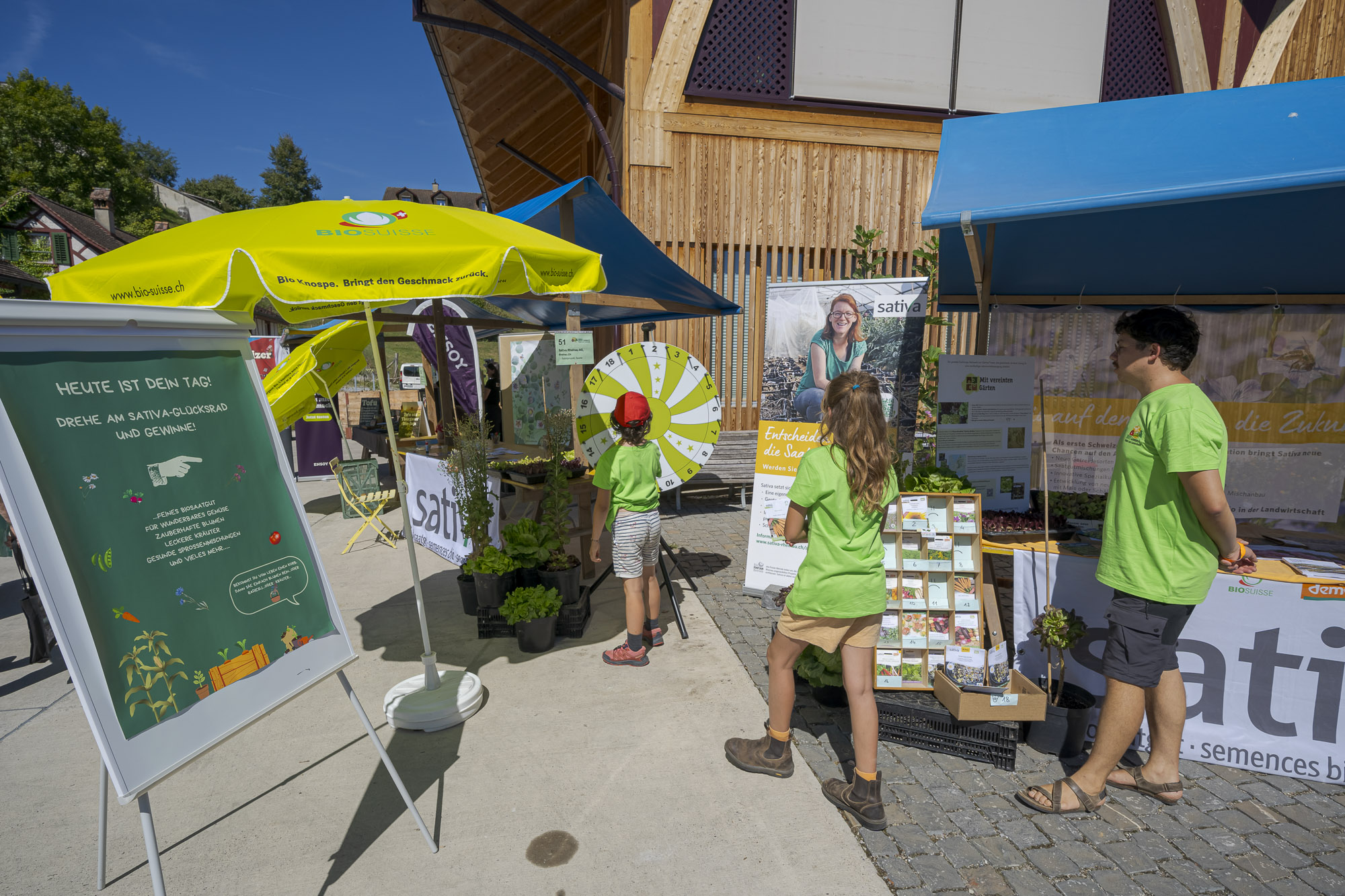 20240907 132044 Benjamin Wiedmer Rheinau 1001 Gemuse