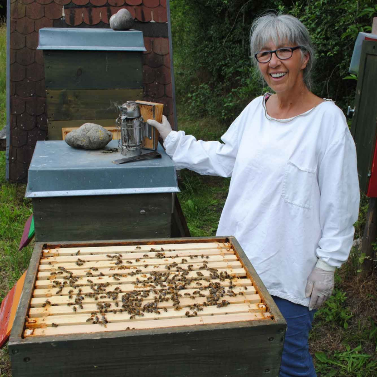 Besuch im Bienenhaus